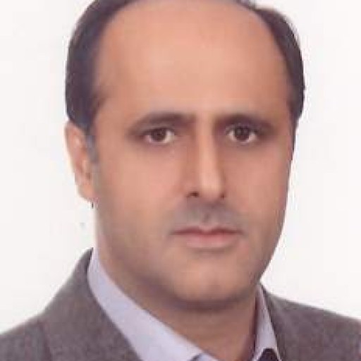 تصویر شمس الدین حسینی