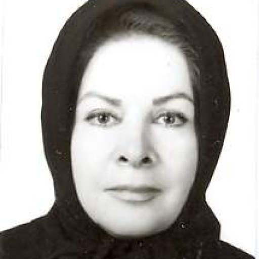 تصویر منیژه امینی