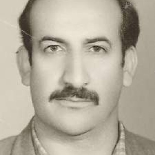 تصویر مرتضی کاویانی