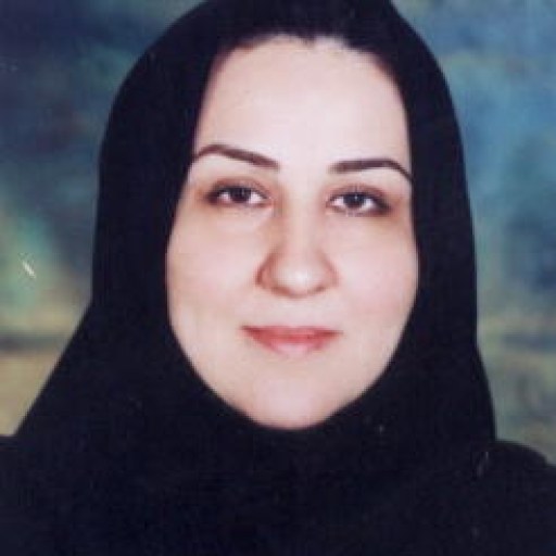 تصویر فهیمه حسینی اشرفی