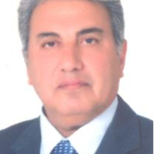 تصویر سیدمحمدصادق آل محمد
