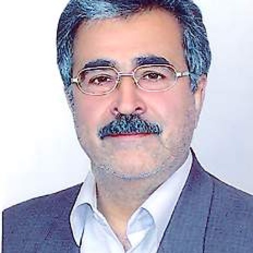 تصویر نجم الدین تدین