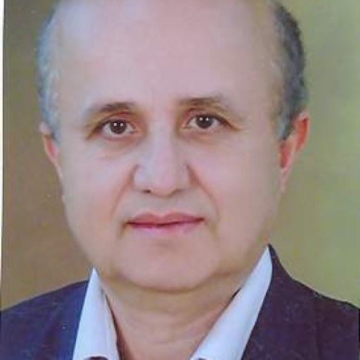 تصویر عبداله توکلی حسینی