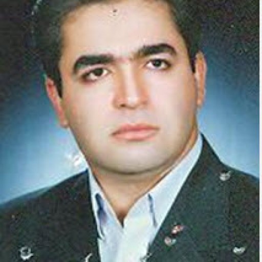 تصویر محمدحسین انصاری