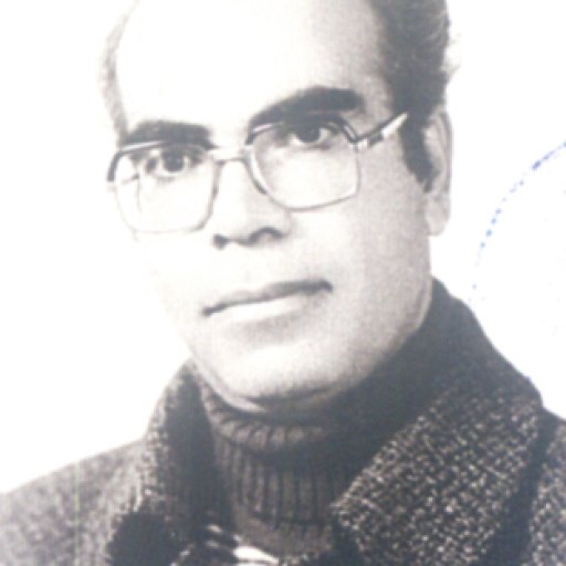 تصویر مجتبی قاهری
