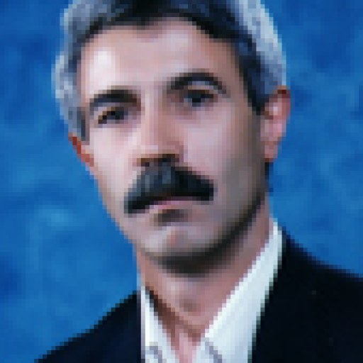 تصویر احمد علی شکری