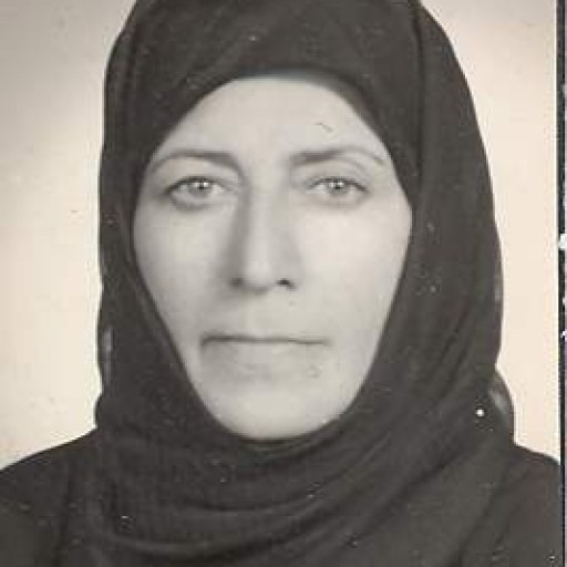 تصویر پریچهر دیوسالار