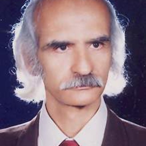 تصویر بهمن نیایش