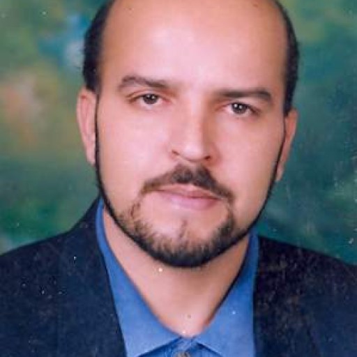 تصویر محمدحسن انصاری