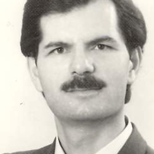 تصویر محمد گرامی فر