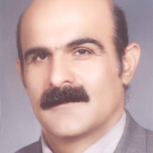 تصویر مجتبی داوری دولت آبادی