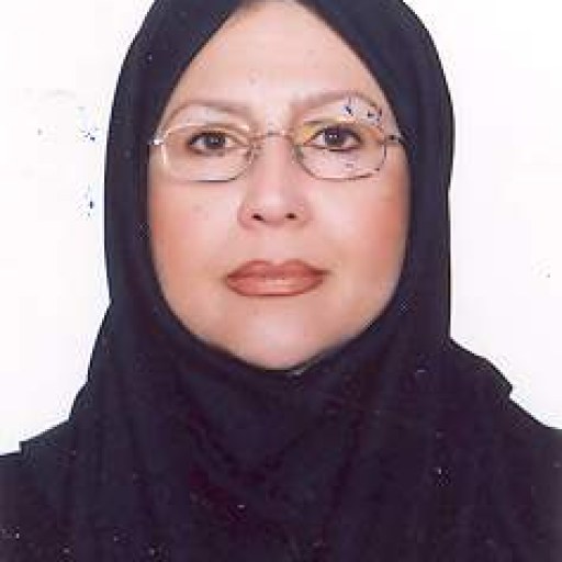 تصویر آذردخت وزیرنظامی