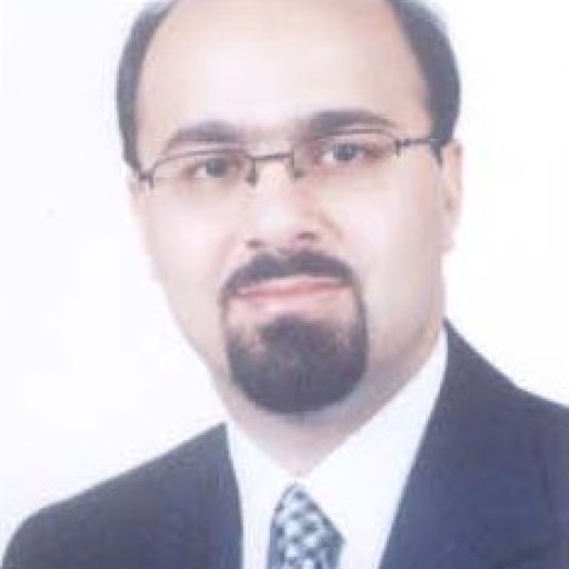 تصویر محمدرضا ملاحسنی