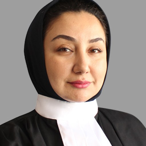 تصویر رویا حمیدی