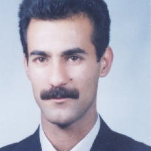 تصویر حمید حسینی لحمیانی