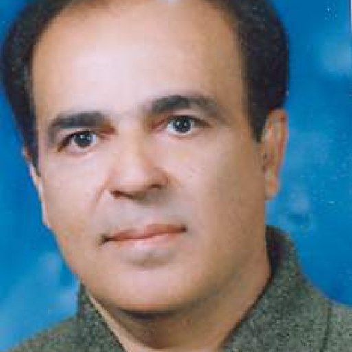 تصویر مرتضی دارائی زاده