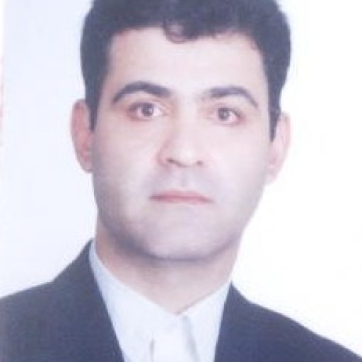 تصویر سیدمحمدرضا منصوری