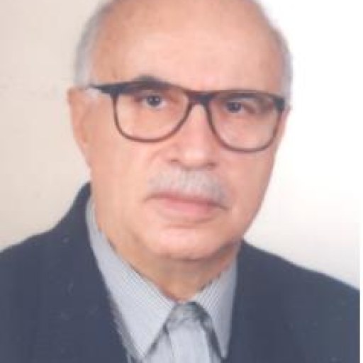 تصویر ناصر میناچی
