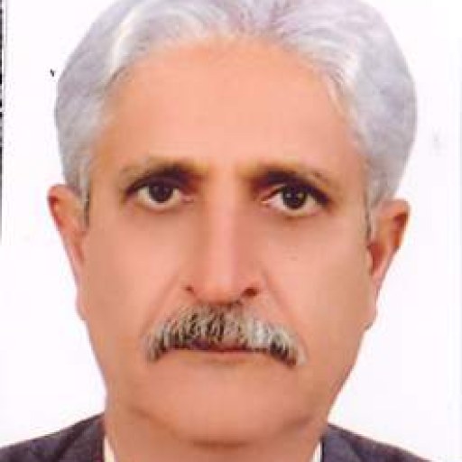 تصویر محمود کرمستجی