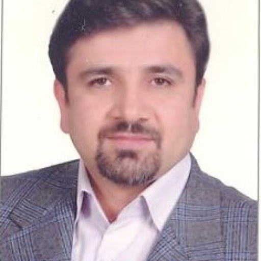 تصویر حسین پورزلفی
