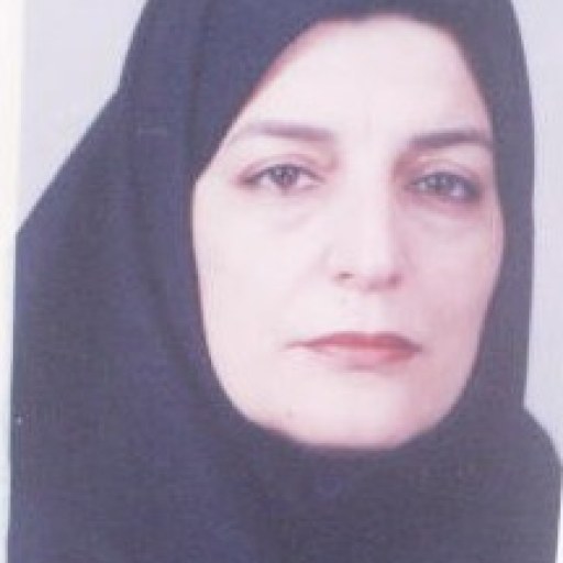 تصویر مهناز خالقی