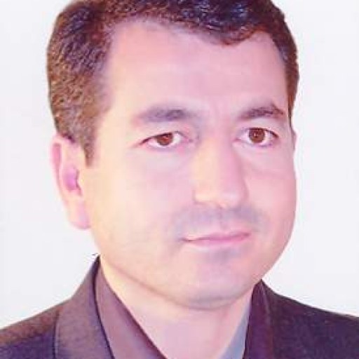 تصویر ملک حسن آدینه وند