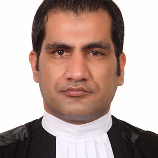 تصویر امیر سلامی