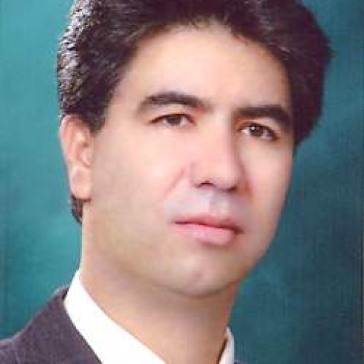 تصویر محمدعلی زارع مهذبیه
