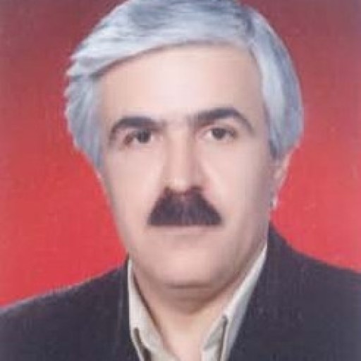 تصویر حسین زادهوش
