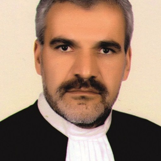 تصویر حسین احمدی بیداخویدی