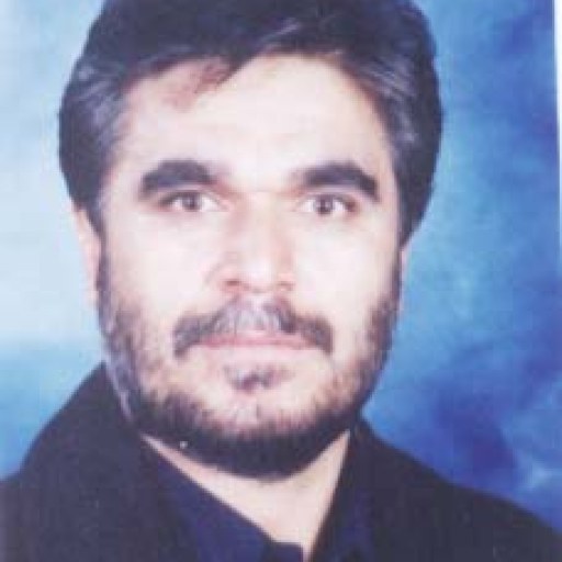 تصویر علیرضا امامقلی نژاد