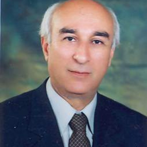 تصویر علیرضا میرمیران