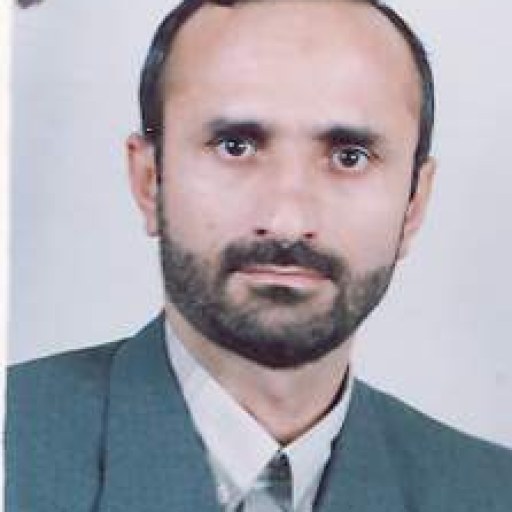 تصویر سیدرضا سیدعلیپورمرزناکی