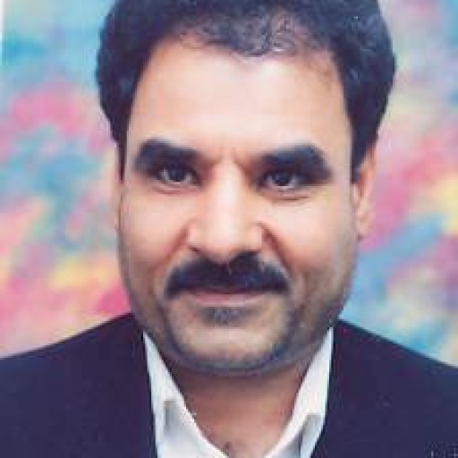 تصویر محمد مفیدی نیا