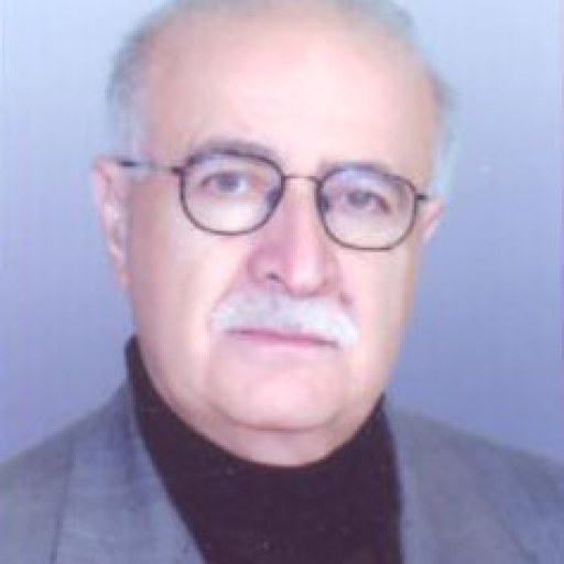 تصویر معین الدین غیاثی