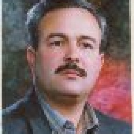 تصویر کمال الدین سلطانی