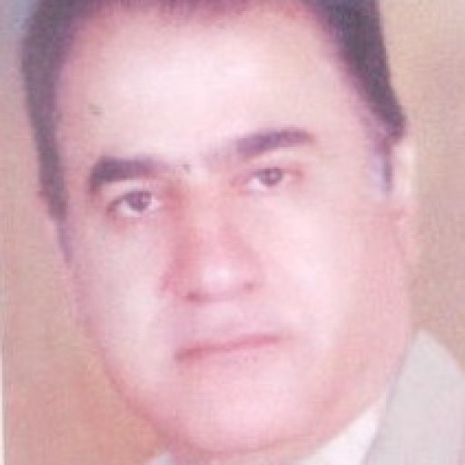 تصویر علی مدبر نیا