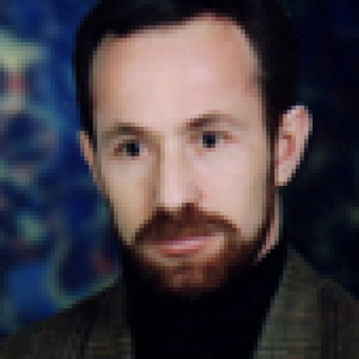 تصویر نادر نوبهار
