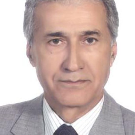 تصویر فتح الله توبی