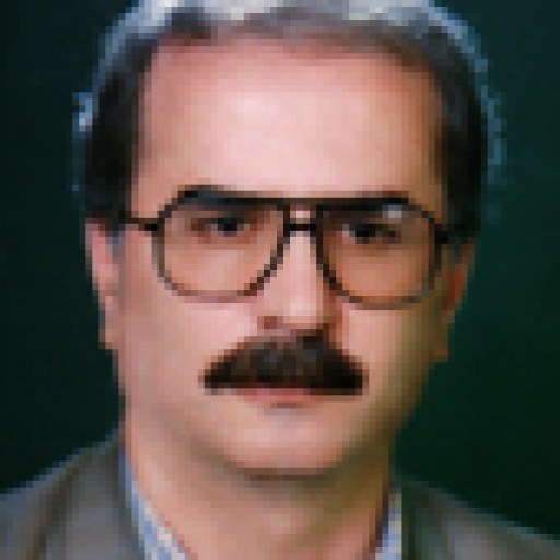 تصویر جواد صالحی