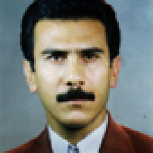 تصویر داود آرین فر