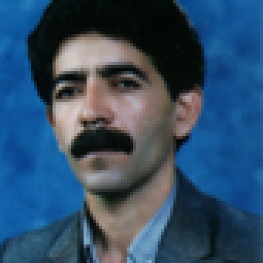 تصویر سیامک شقاقی