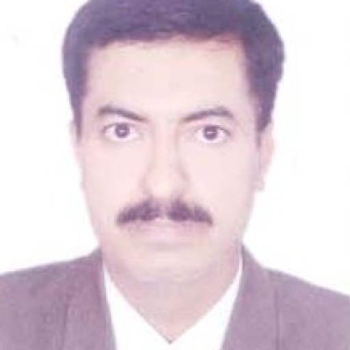 تصویر حمید محمودی