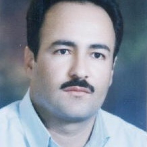 تصویر غلامرضا انصاری