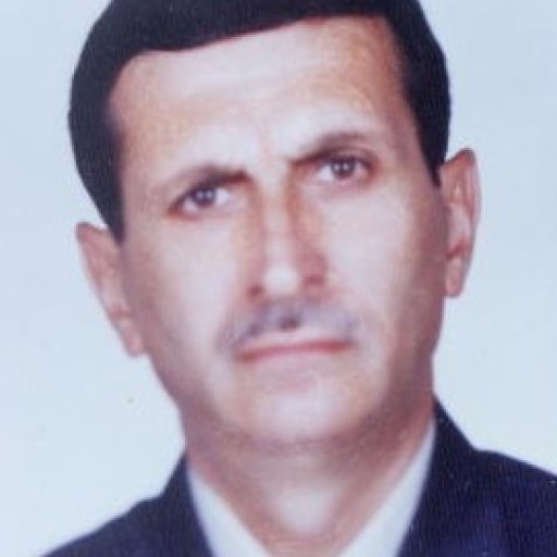تصویر محمد قلی زاده