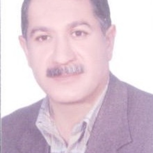 تصویر رضا امیرعلیان