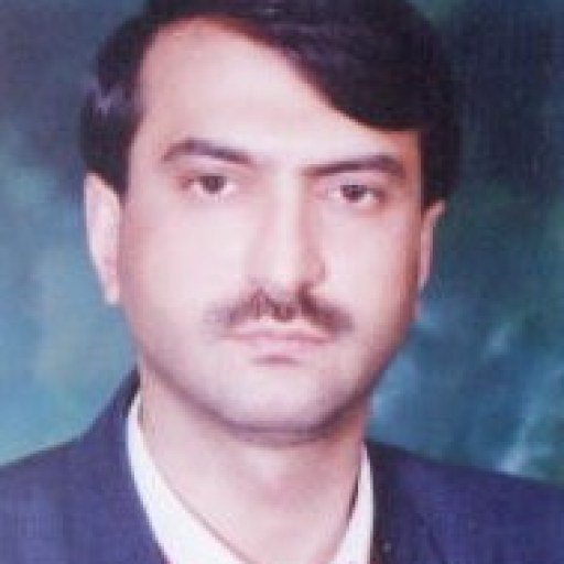 تصویر بهرام ولی پور
