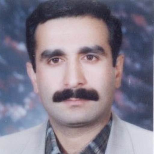 تصویر ابراهیم محمد زاده سورکی