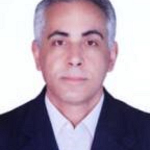 تصویر کیاوش لطفی