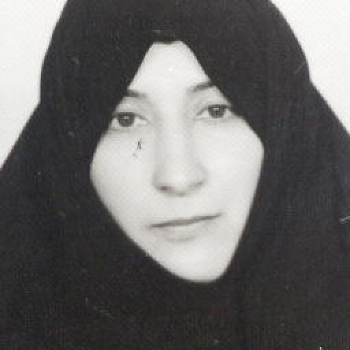تصویر احترام سالار آملی